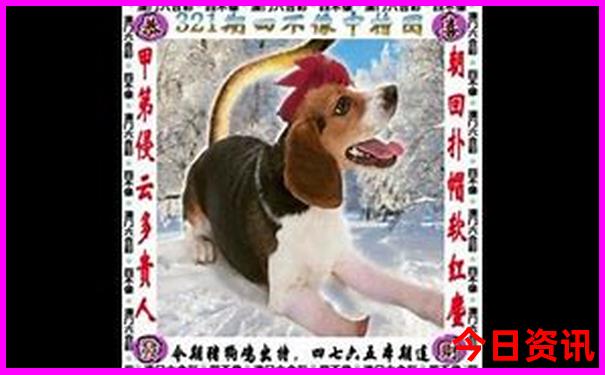 带3岁孩子旅游适合去哪里